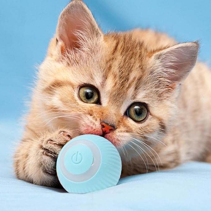 PowerBall™ Pelota Inteligente para Gatos y Perros 2x1 + Envío Gratis🎁