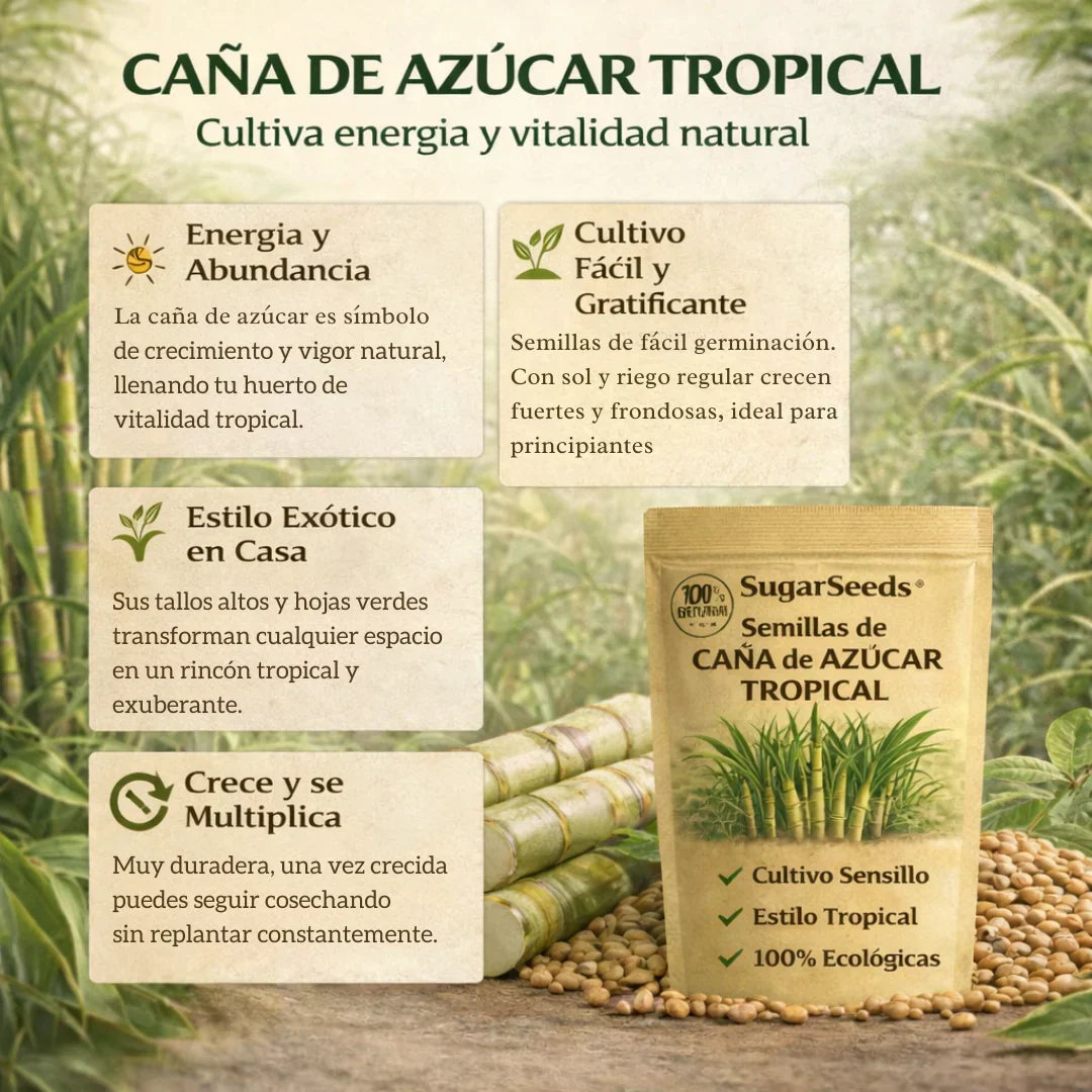 CañaDulce™ Seeds — Tu Propia Caña de Azúcar Tropical y Fresca en Casa