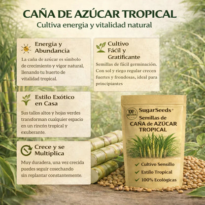 CañaDulce™ Seeds — Tu Propia Caña de Azúcar Tropical y Fresca en Casa