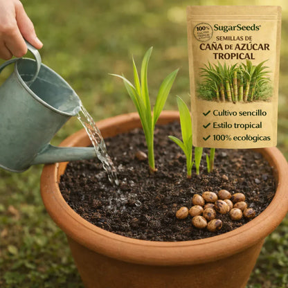 CañaDulce™ Seeds — Tu Propia Caña de Azúcar Tropical y Fresca en Casa