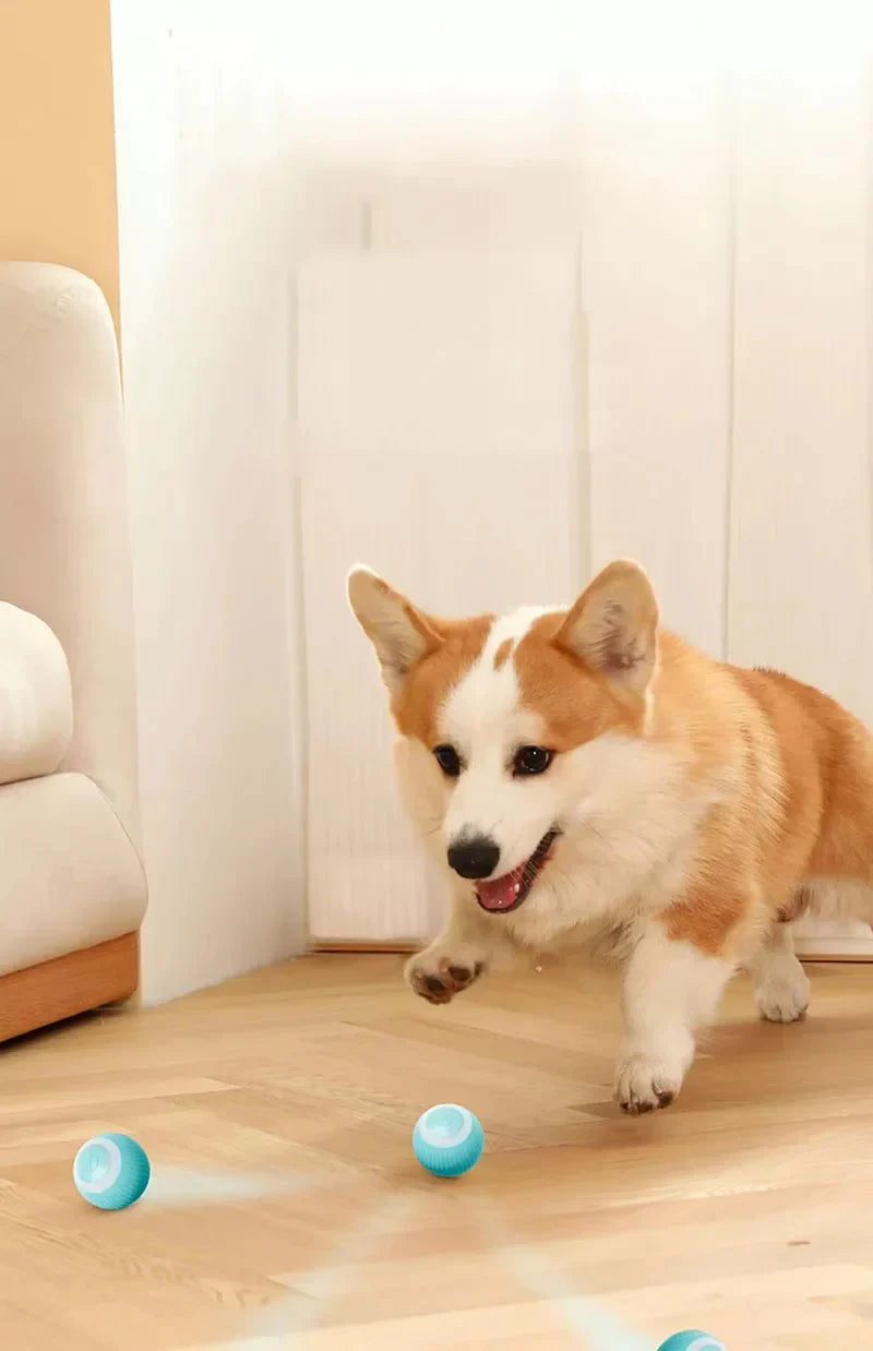 PowerBall™ Pelota Inteligente para Gatos y Perros 2x1 + Envío Gratis🎁