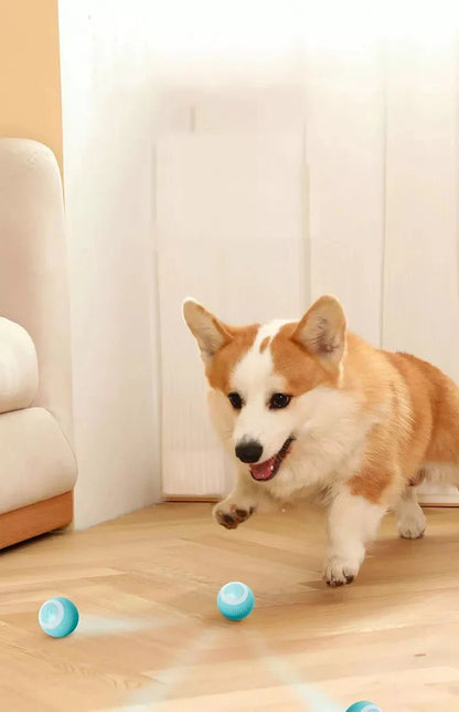 PowerBall™ Pelota Inteligente para Gatos y Perros 2x1 + Envío Gratis🎁