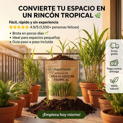 CañaDulce™ Seeds — Tu Propia Caña de Azúcar Tropical y Fresca en Casa