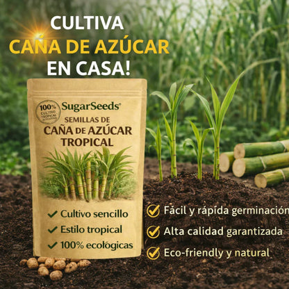 CañaDulce™ Seeds — Tu Propia Caña de Azúcar Tropical y Fresca en Casa