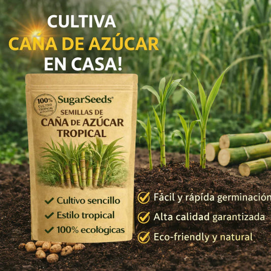 CañaDulce™ Seeds — Tu Propia Caña de Azúcar Tropical y Fresca en Casa