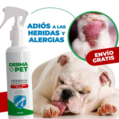 🐶🐱DermaPet™ Adiós dolor e irritación por alergias + Envío Gratis🎁