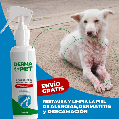 🐶🐱DermaPet™ Adiós dolor e irritación por alergias + Envío Gratis🎁