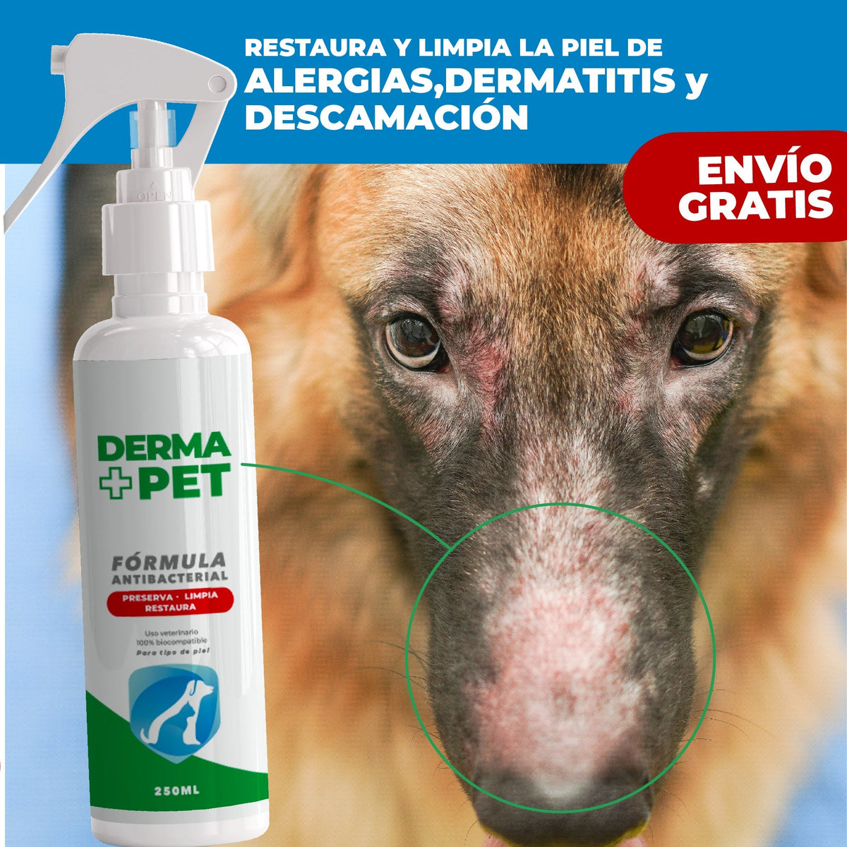 🐶🐱DermaPet™ Adiós dolor e irritación por alergias + Envío Gratis🎁