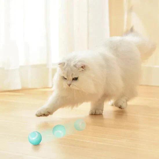 PowerBall™ Pelota Inteligente para Gatos y Perros 2x1 + Envío Gratis🎁