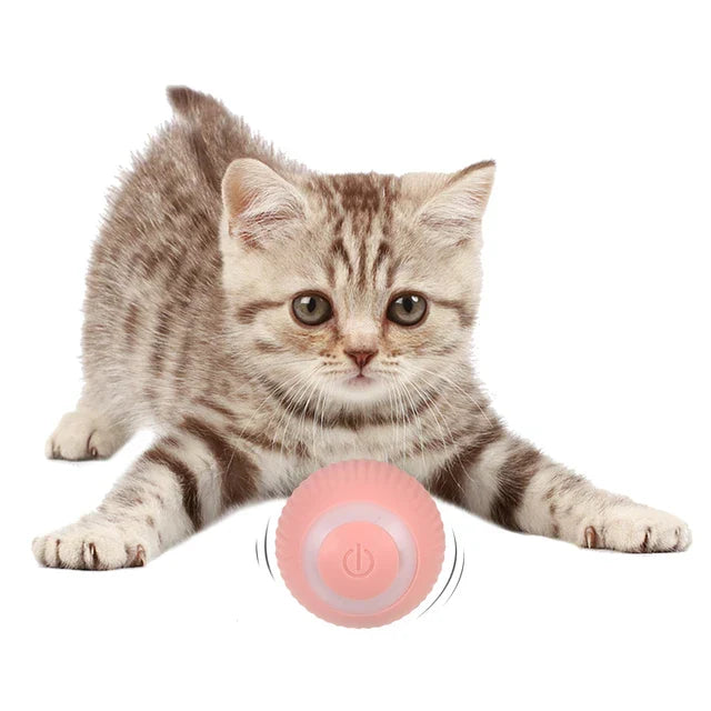 PowerBall™ Pelota Inteligente para Gatos y Perros 2x1 + Envío Gratis🎁