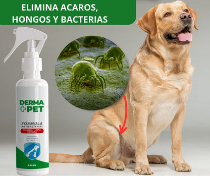 🐶🐱DermaPet™ Adiós dolor e irritación por alergias + Envío Gratis🎁