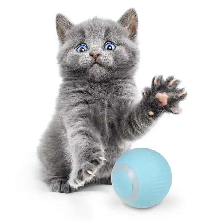 PowerBall™ Pelota Inteligente para Gatos y Perros 2x1 + Envío Gratis🎁