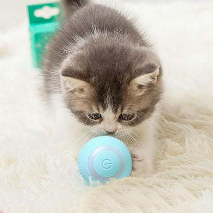 PowerBall™ Pelota Inteligente para Gatos y Perros 2x1 + Envío Gratis🎁